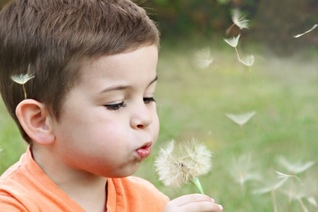 La liberté de connaître et de savoir