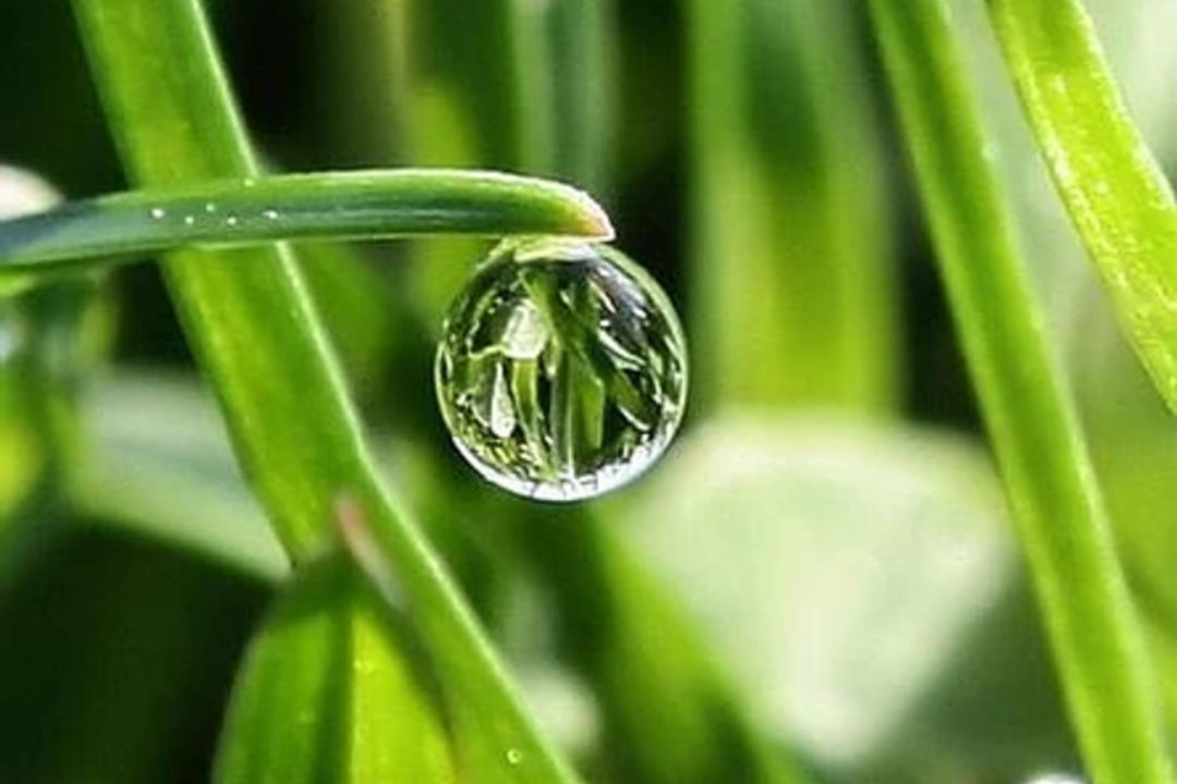 L’abandon au vide : devenir de plus en plus UN