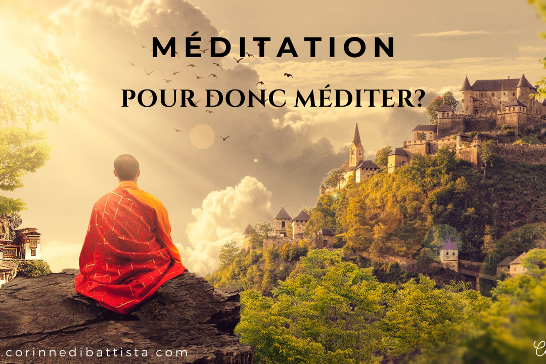 Pourquoi donc méditer?