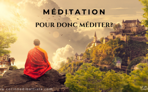 Pourquoi donc méditer?