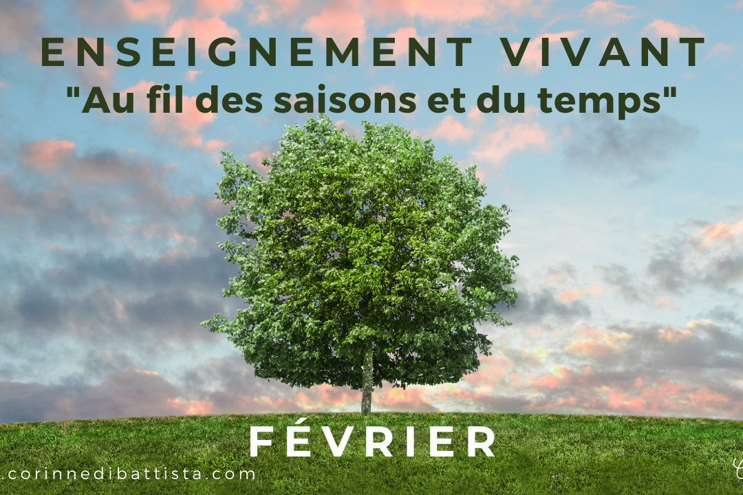Cycle saisons : février