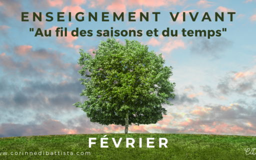 Cycle saisons : février