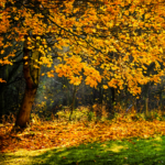 Saisons et initiation | Mars #3