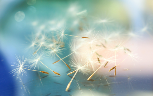 Corinne et ses outils | Elle se présente #1